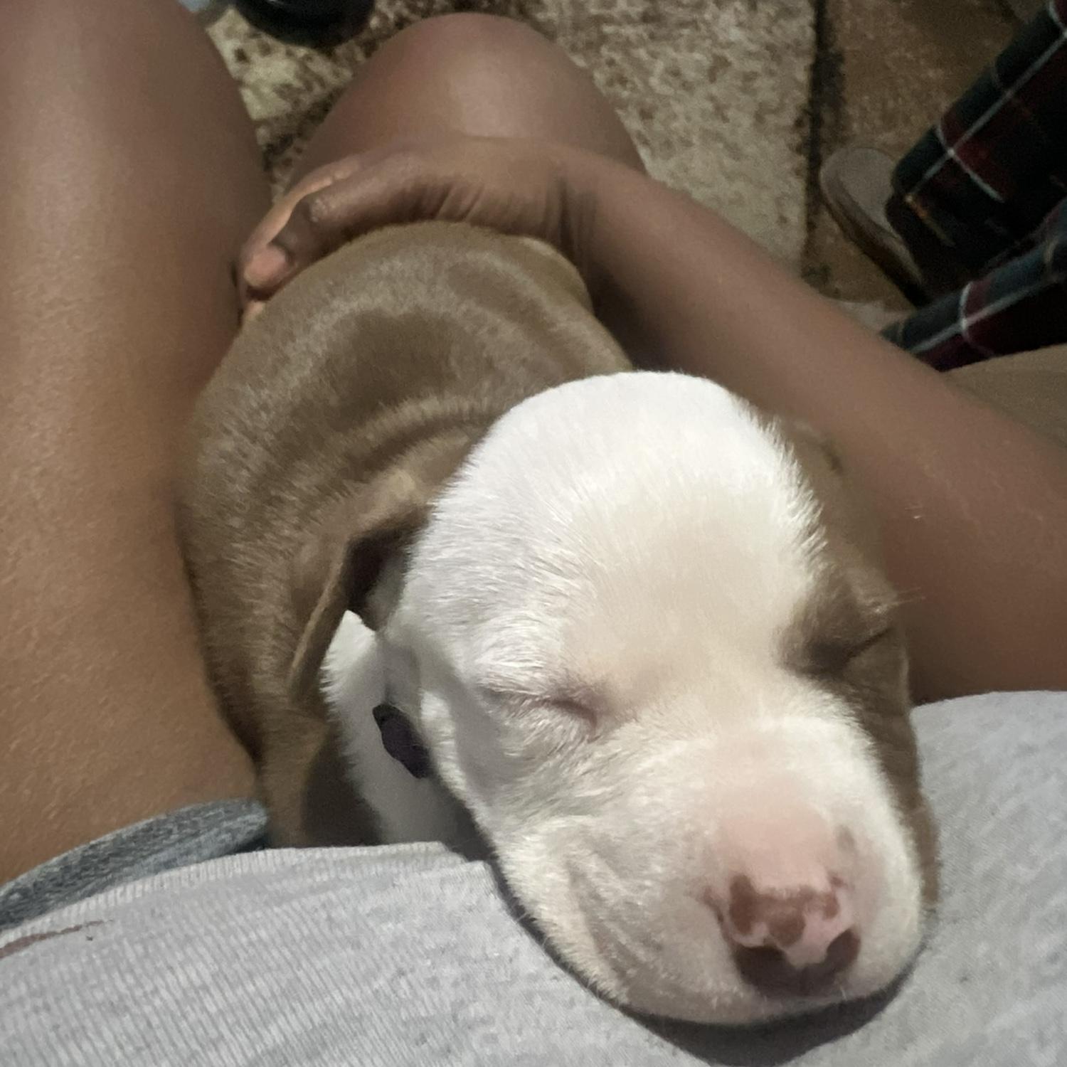 SPOILED😂