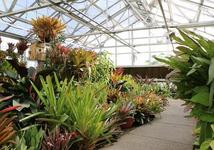 South Texas Botanical Gardens & Nature Center