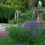Norfolk Botanical Gardens