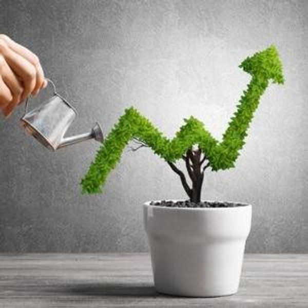 Joint Investment Account