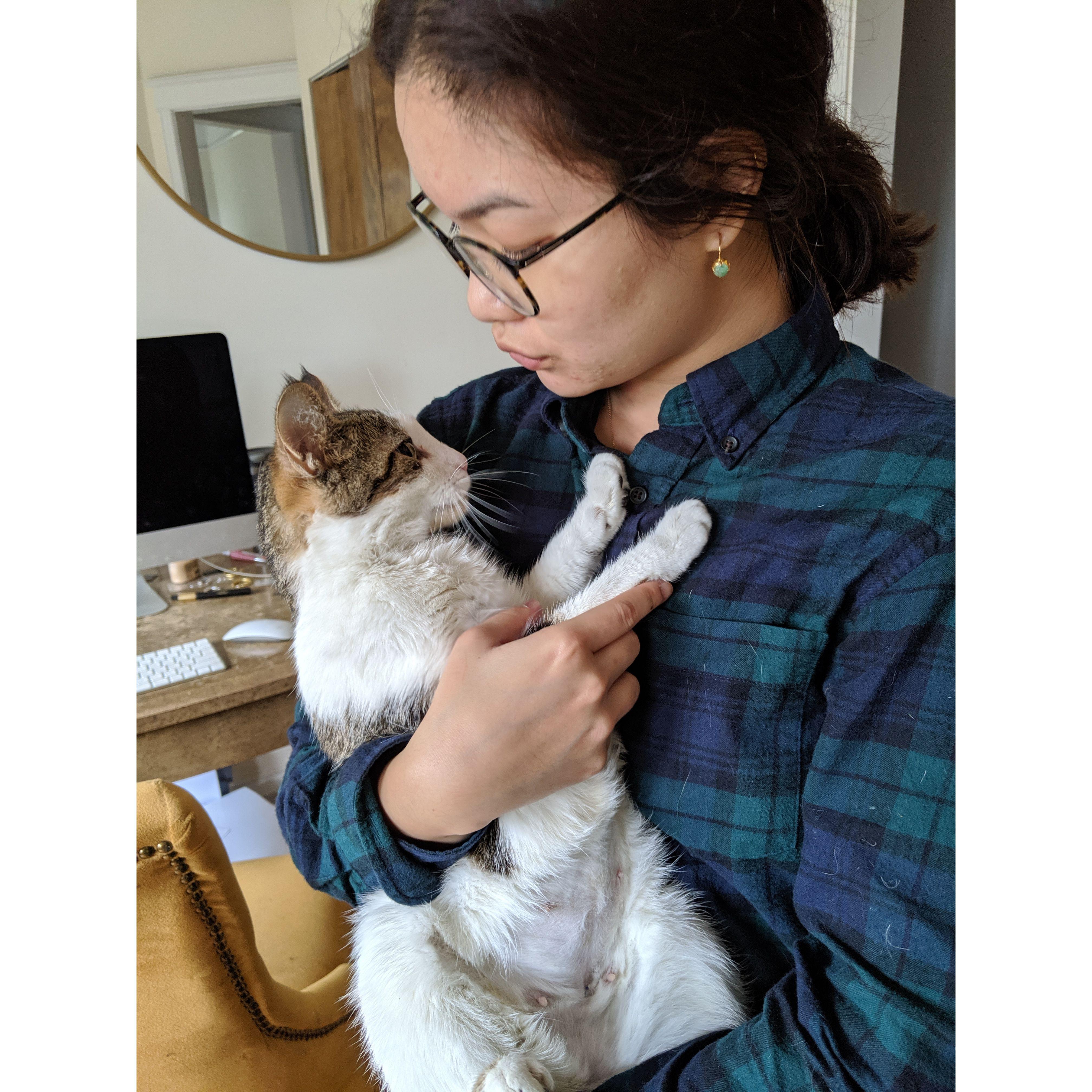 Baby Kiwi in Chicago on Sept. 28, 2019