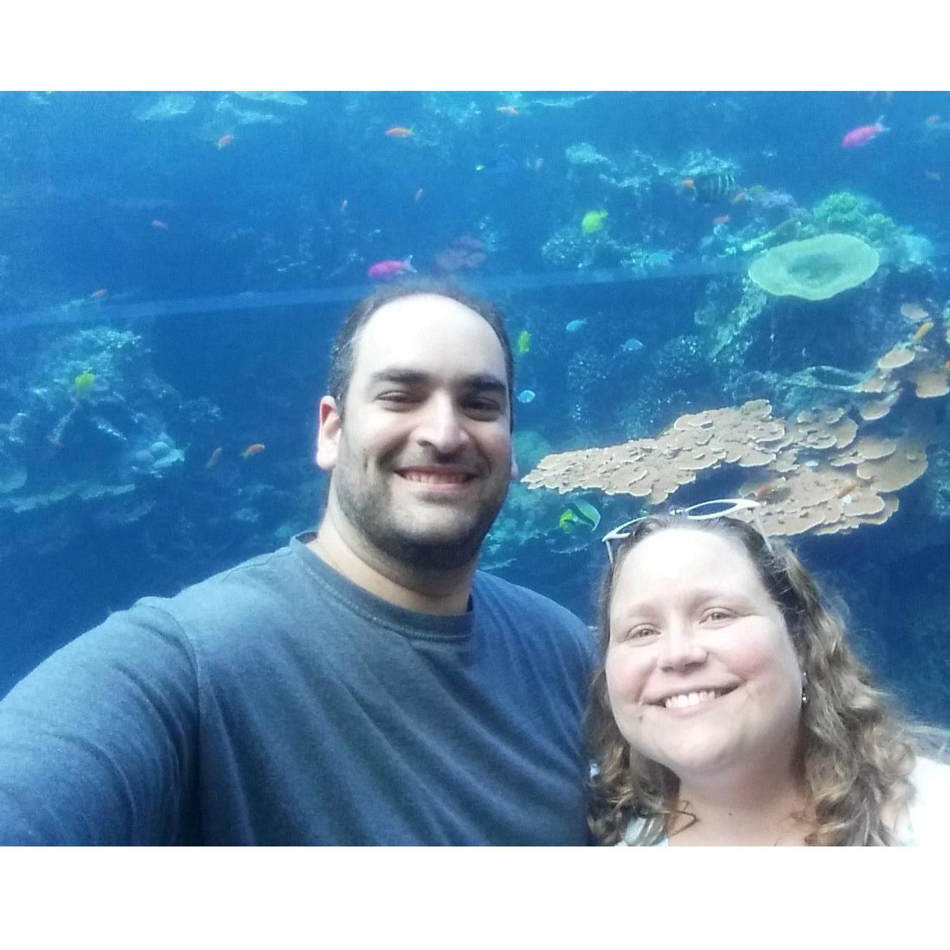the Aquarium