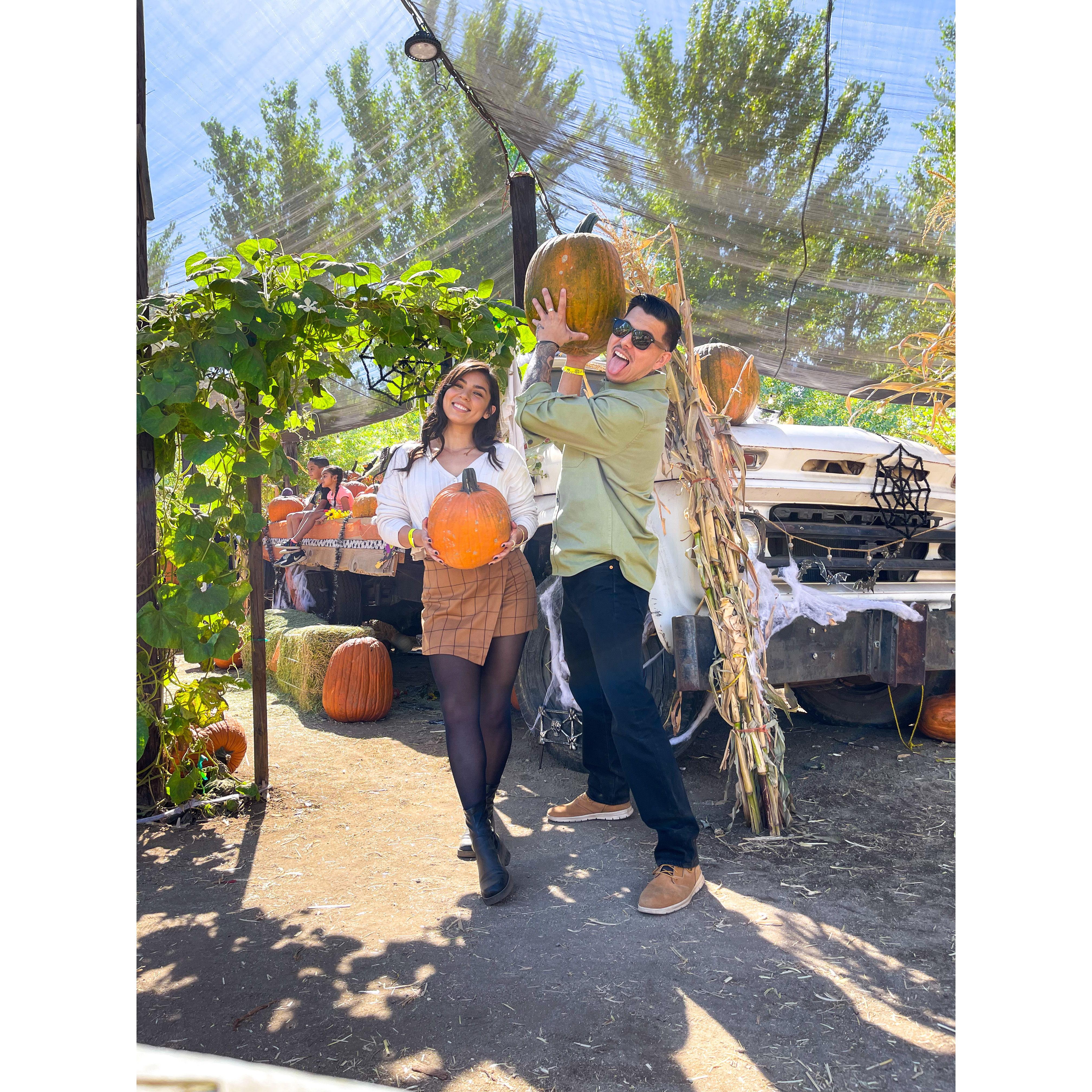 Our first pumpkin patch together!