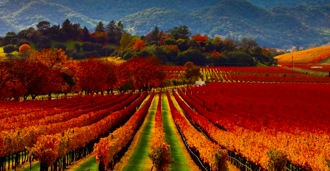 The Wedding Website of Sara Potgeter and Carl Gboney