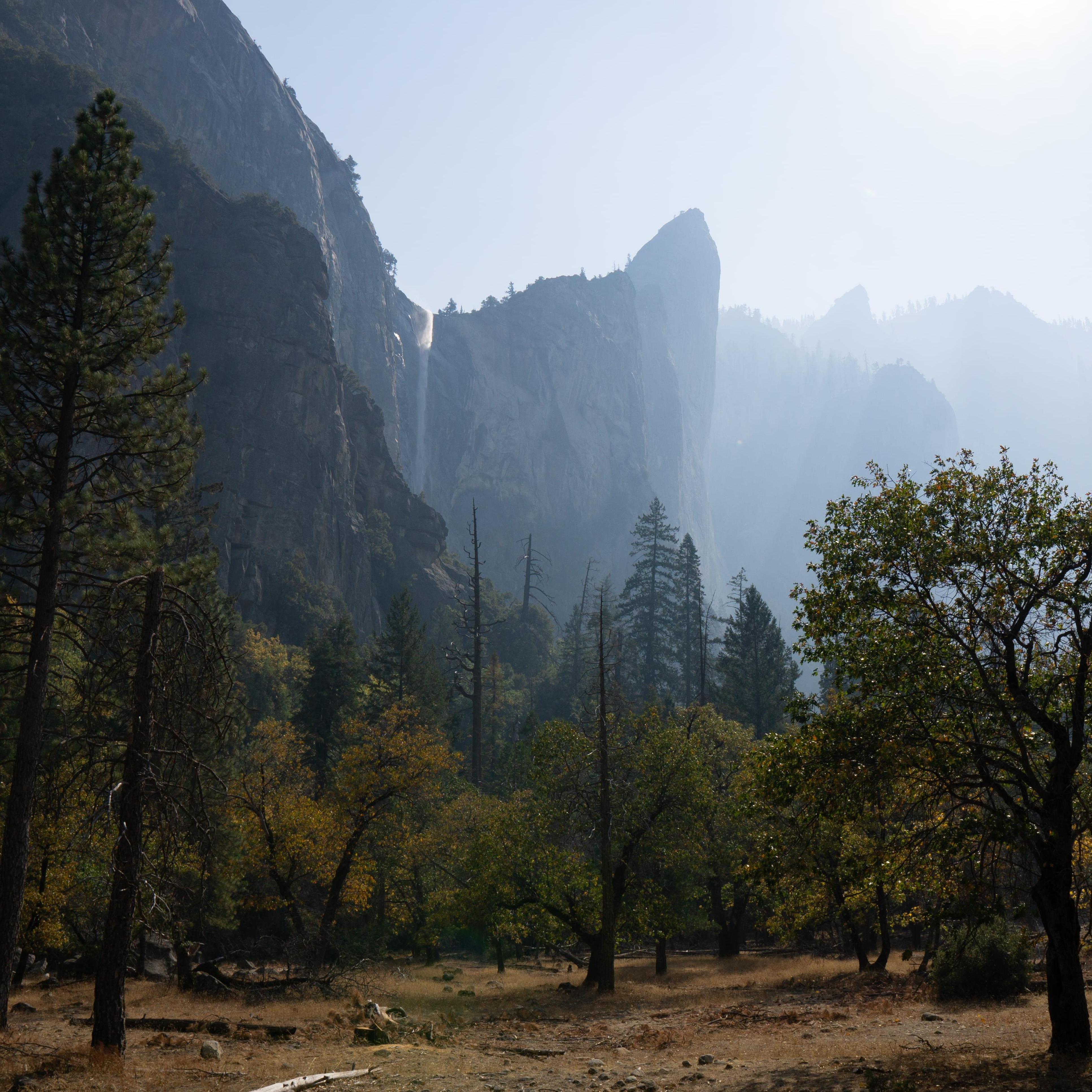 Yosemite NP