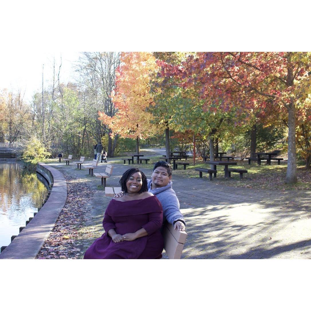 Tibbetts Brook Park 
Yonkers, NY