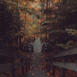 Hocking Hills State Park