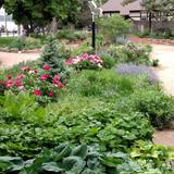 The Horticultural Art Society Gardens