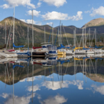 Frisco Bay Marina