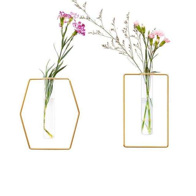 Pack of 2 Wall-Mounted Hydroponic Planters, Hanging Flower Vases, Home Decor Geometric Terrariums, Hydroponic Glass Containers with Gold Metal Frames (Hexagon & Rectangle)