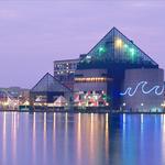 Check Out Our Guide to Baltimore!