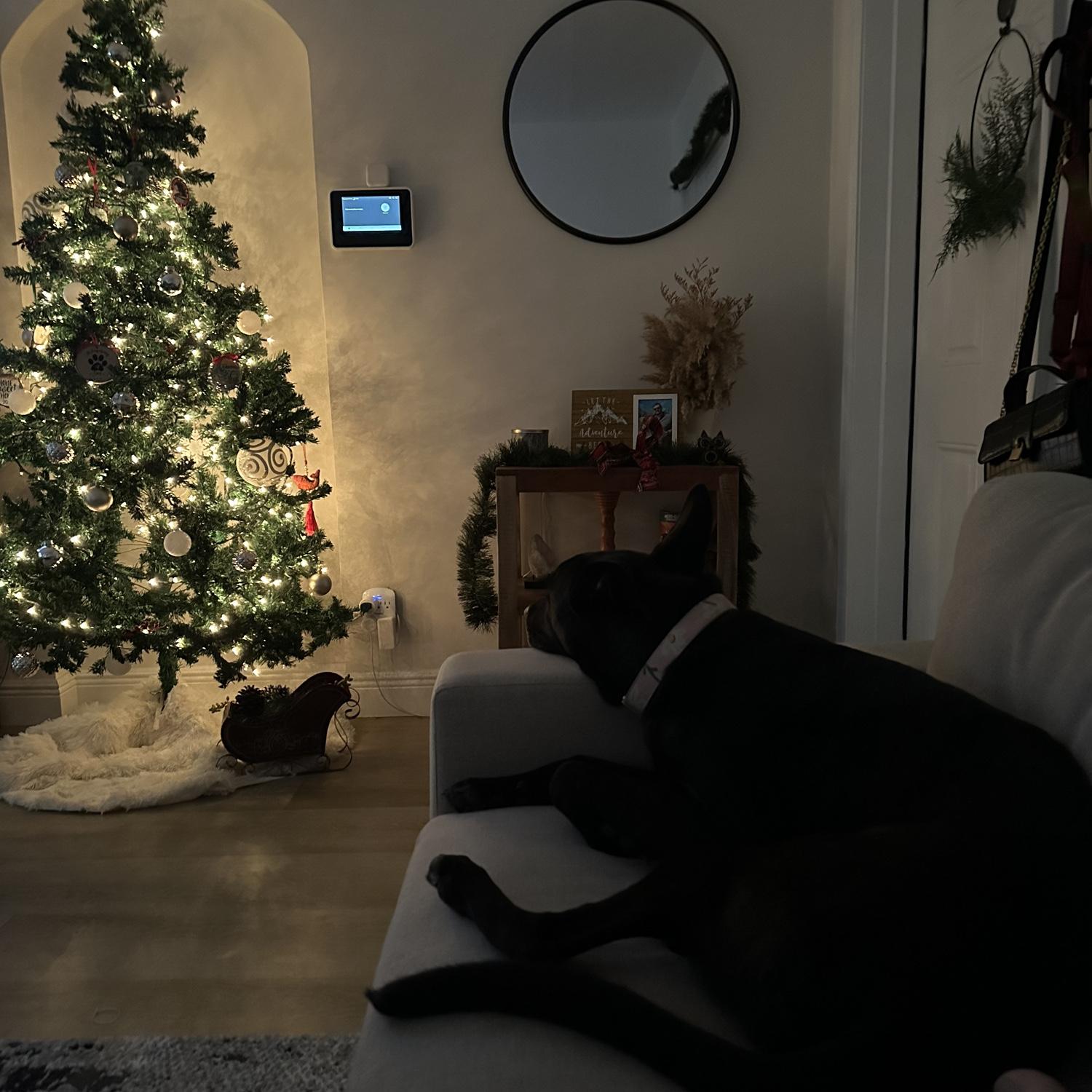 Our first Christmas living together