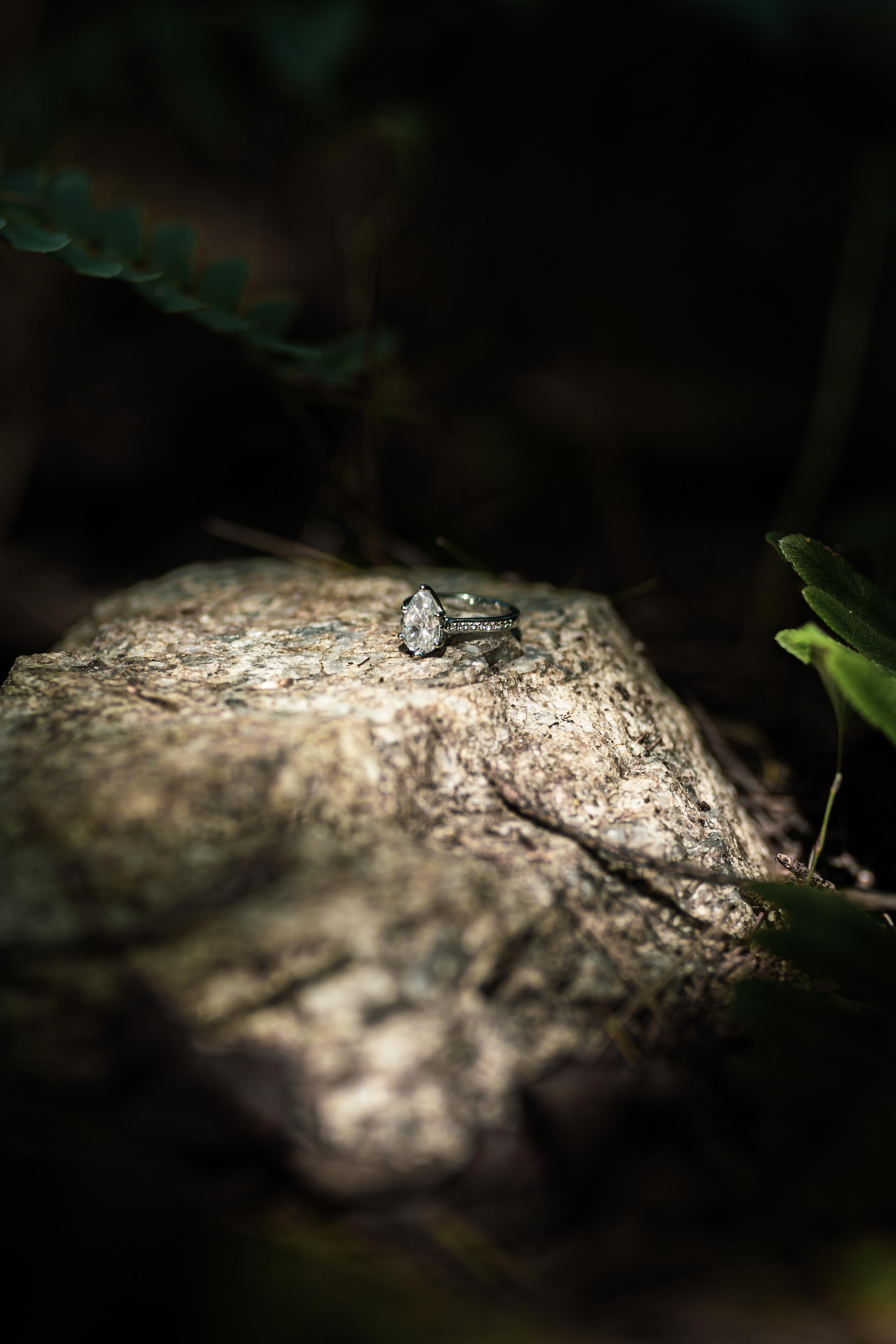 The Wedding Website of Tiffany Ledford and James Messer