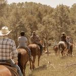Central Coast Trail Rides