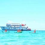 Puerto Vallarta Excursions