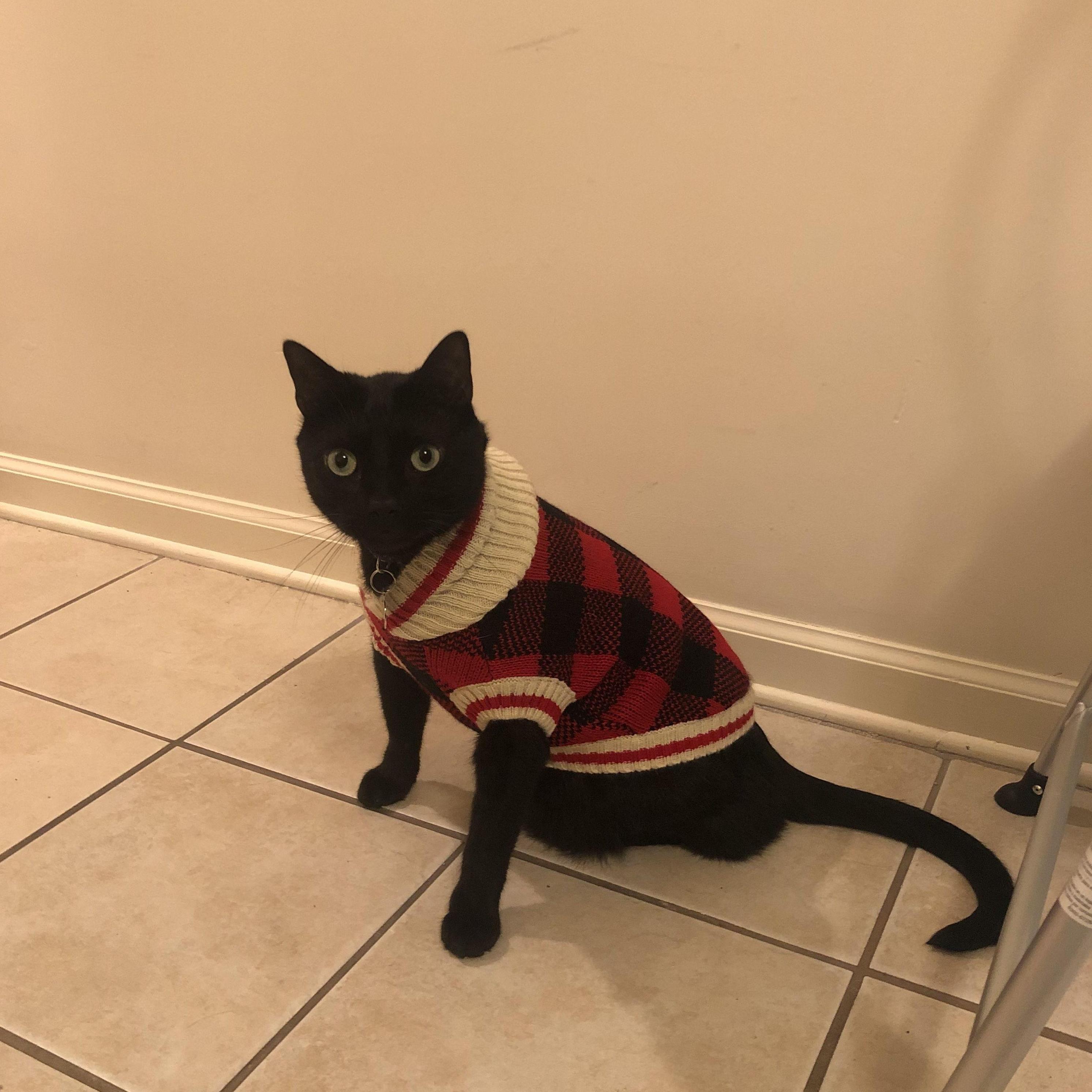 Ickis in his christmas sweater!