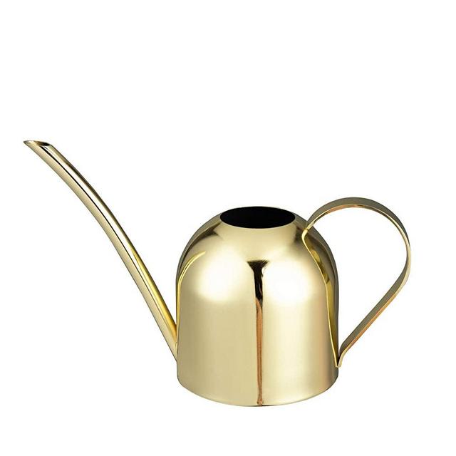IMEEA Gold Watering Can Mini House Watering Can for Indoor Plants Orchid Bonsai Desk Office Stainless Steel Small Watering Can with Long Spout, 15oz/450ml