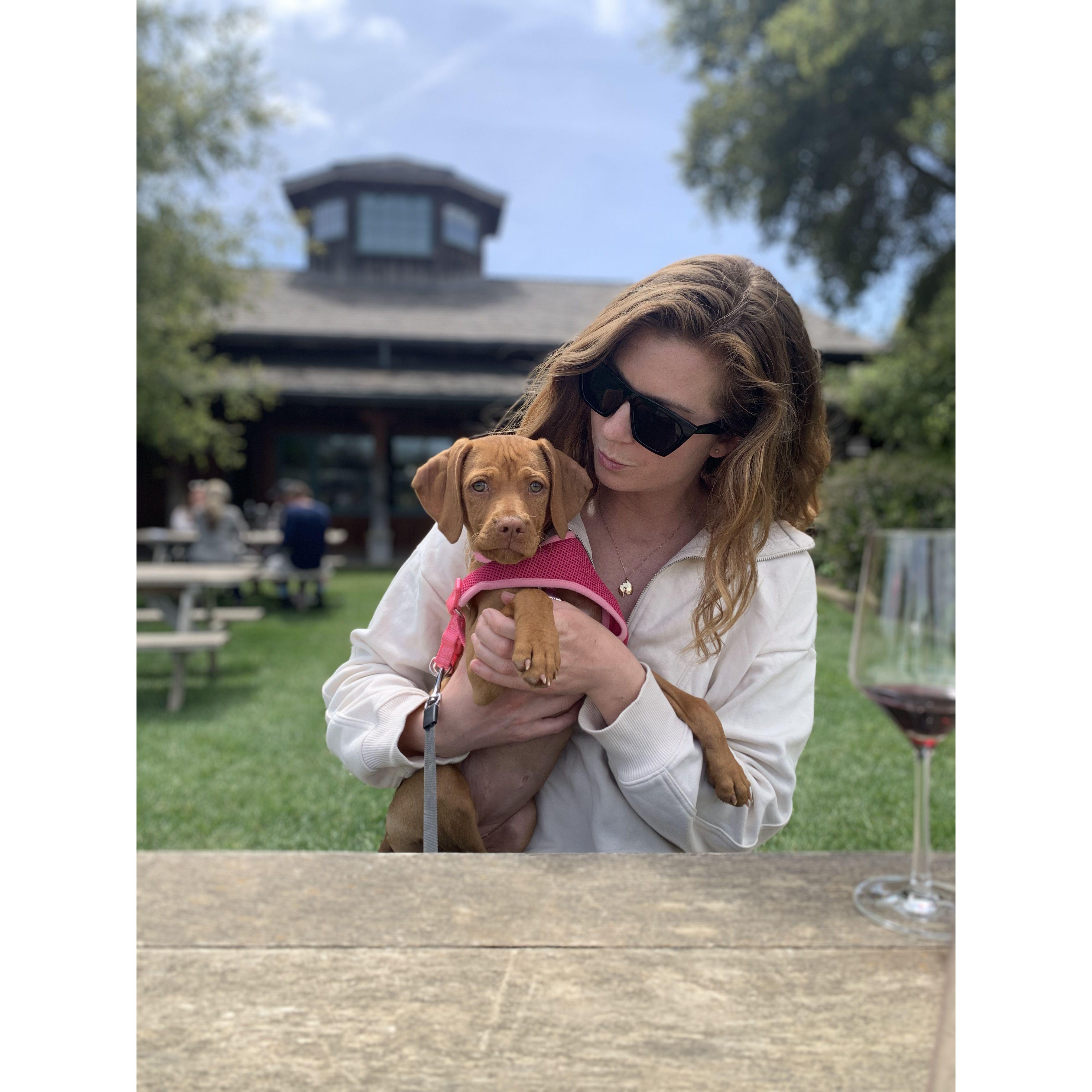 Whiskeys frist winery