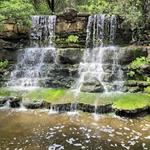Zilker Botanical Garden