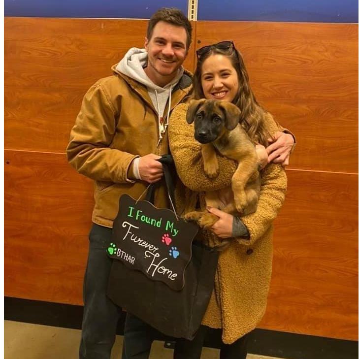 Sadie's Gotcha Day - 3/6/21
