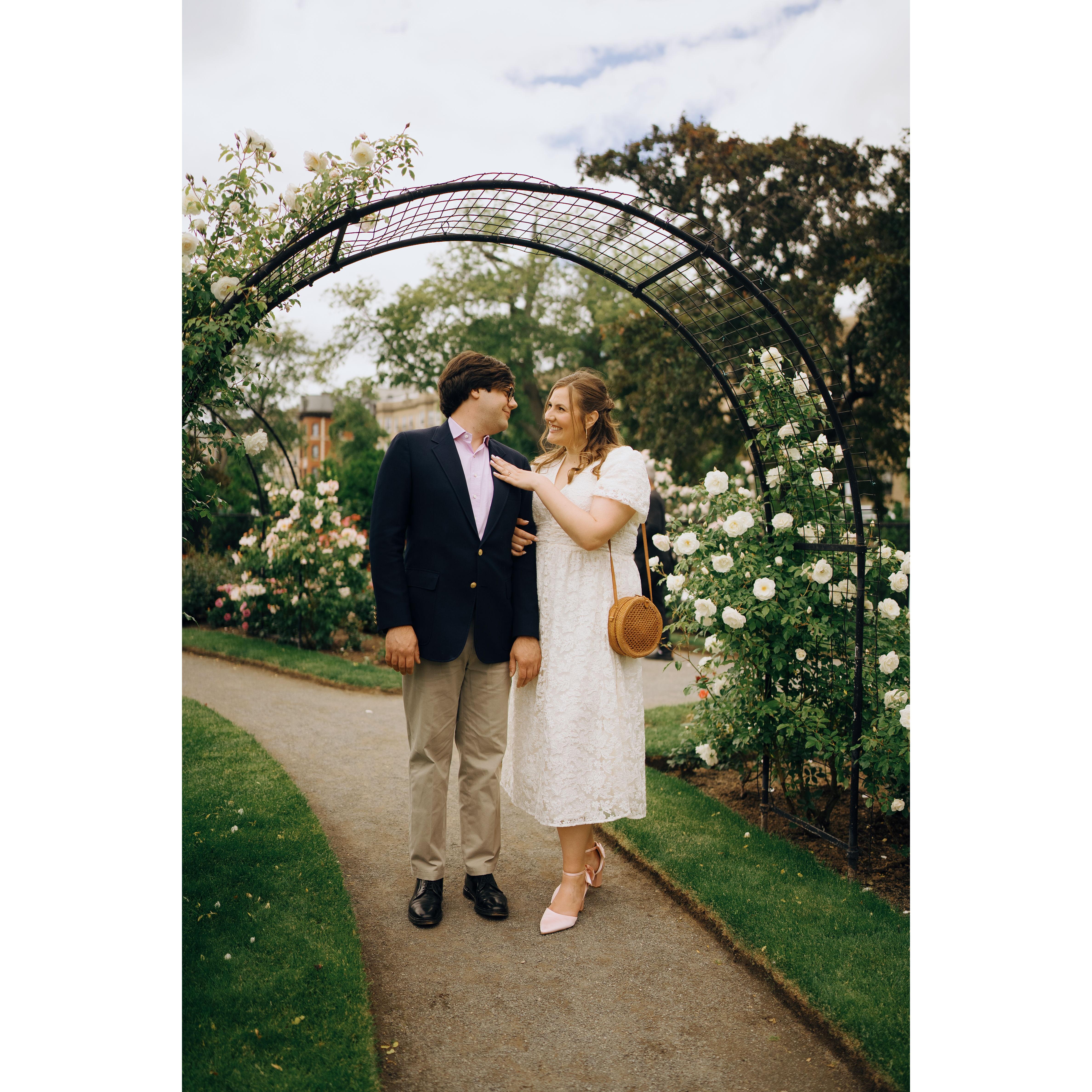 Engagement photos in the Fenway Rose Garden, where we had gone on our second date.