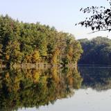 Wolf Run State Park