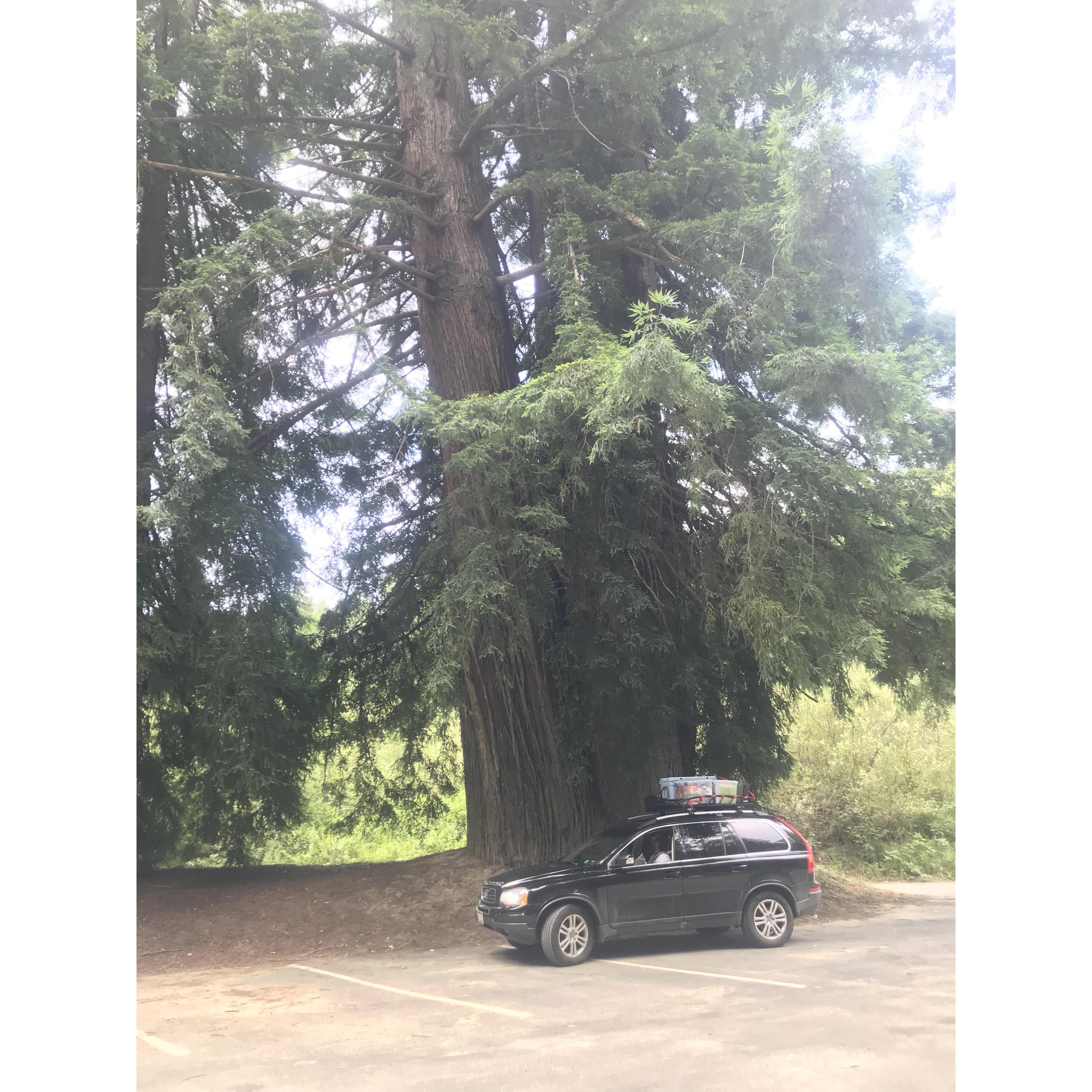 Their home on wheels for 19 days, 6,700 miles, & 10 states. They only lost a few items of clothing from their rooftop dresser in Oregon, but gained thousands of memories in lieu.