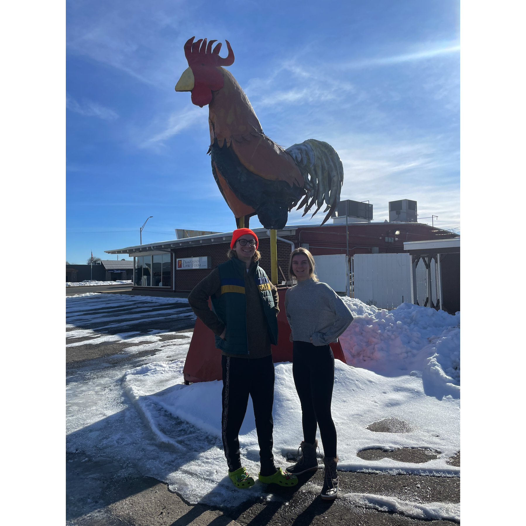 Mandatory chicken pic in CO 🐔