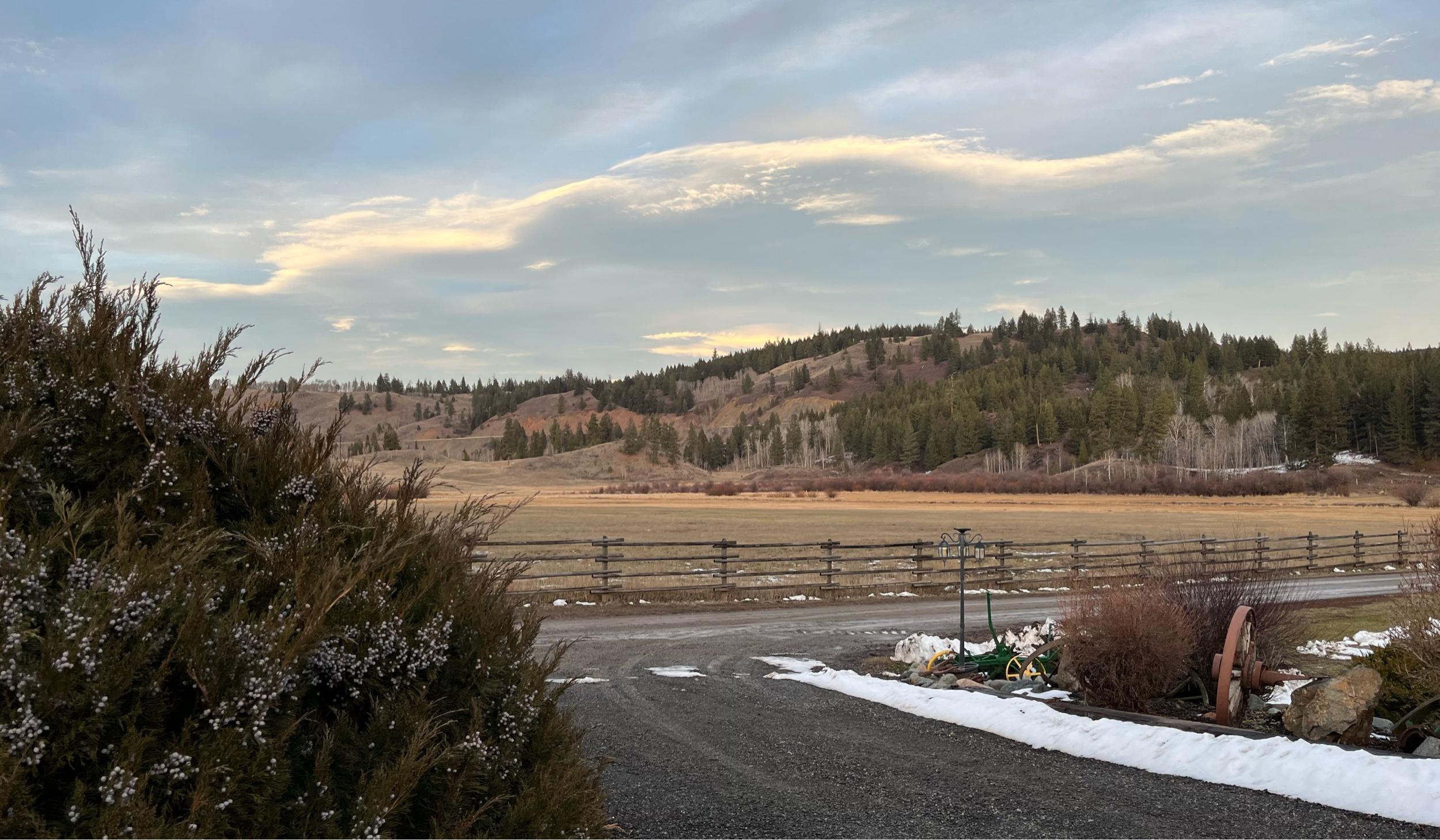 The Wedding Website of Léoni Paul and Ashton Peterson