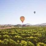 Magical Adventure Balloon Rides