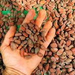 Chocolate or Vanilla & Spices Tour