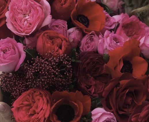 The Wedding Website of Nohemi Elias and Joshua Stout