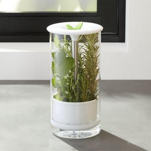 Glass Herb Keeper