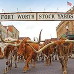 Fort Worth Stockyards Station