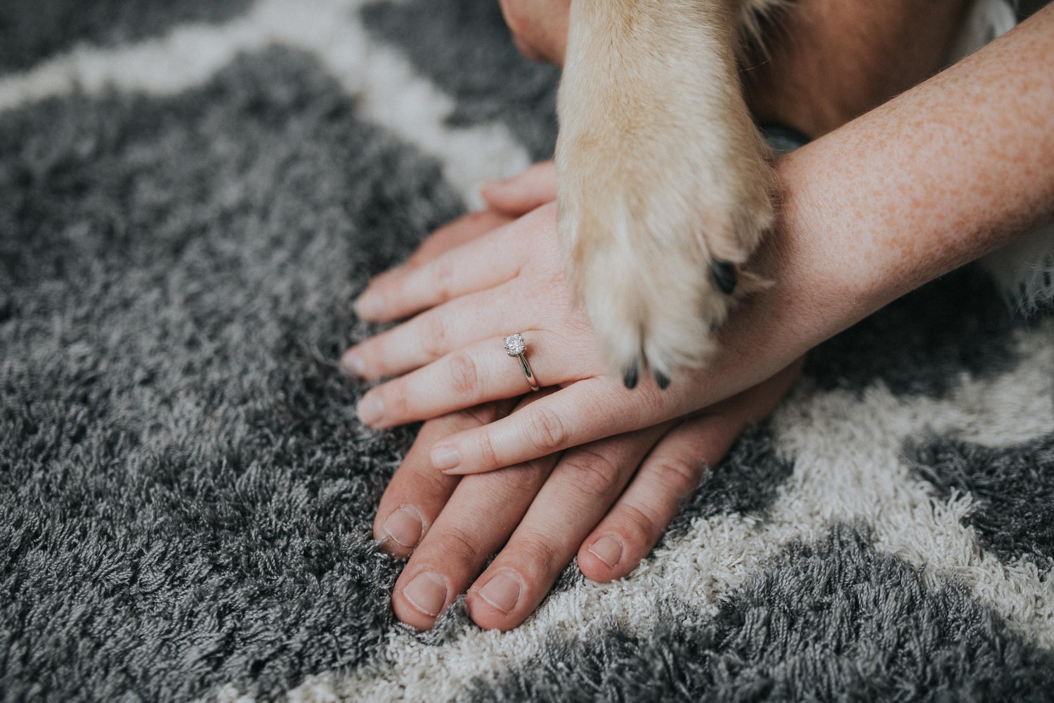 The Wedding Website of Heather Evans and Kalen Preston