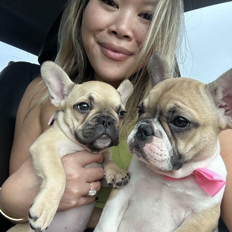 Became dog pawrents again.
