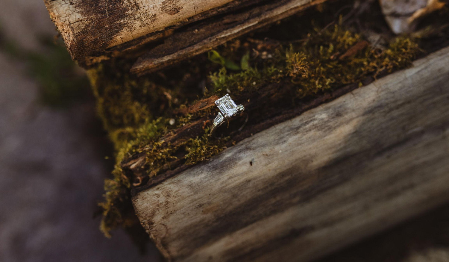 Footer image
