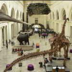 Museum Campus