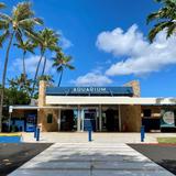 Waikiki Aquarium