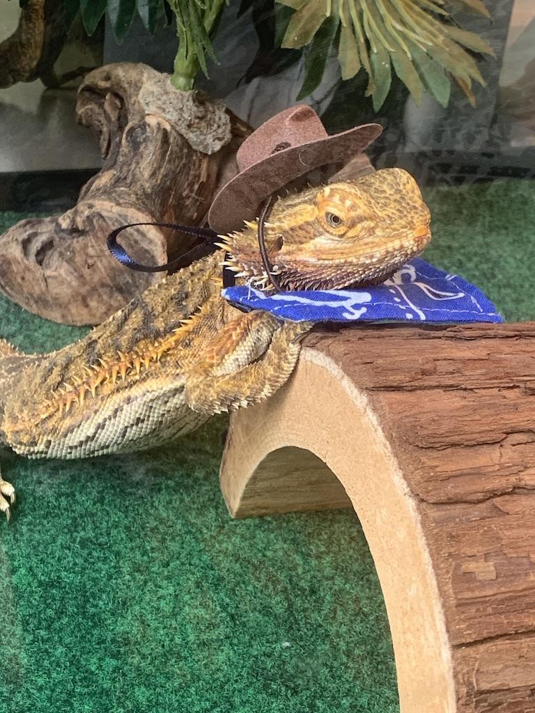 The Wedding Website of Amy Green and Leon Tkacenko