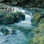Tamanique Waterfalls