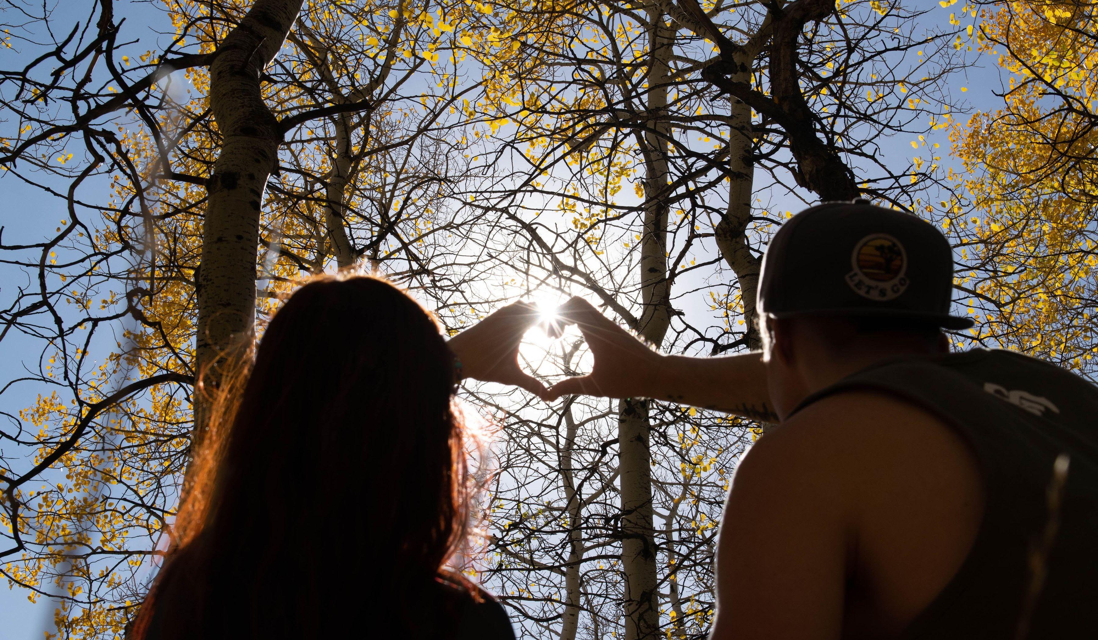 Hero Slideshow Image 1