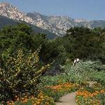 Santa Barbara Botanic Garden
