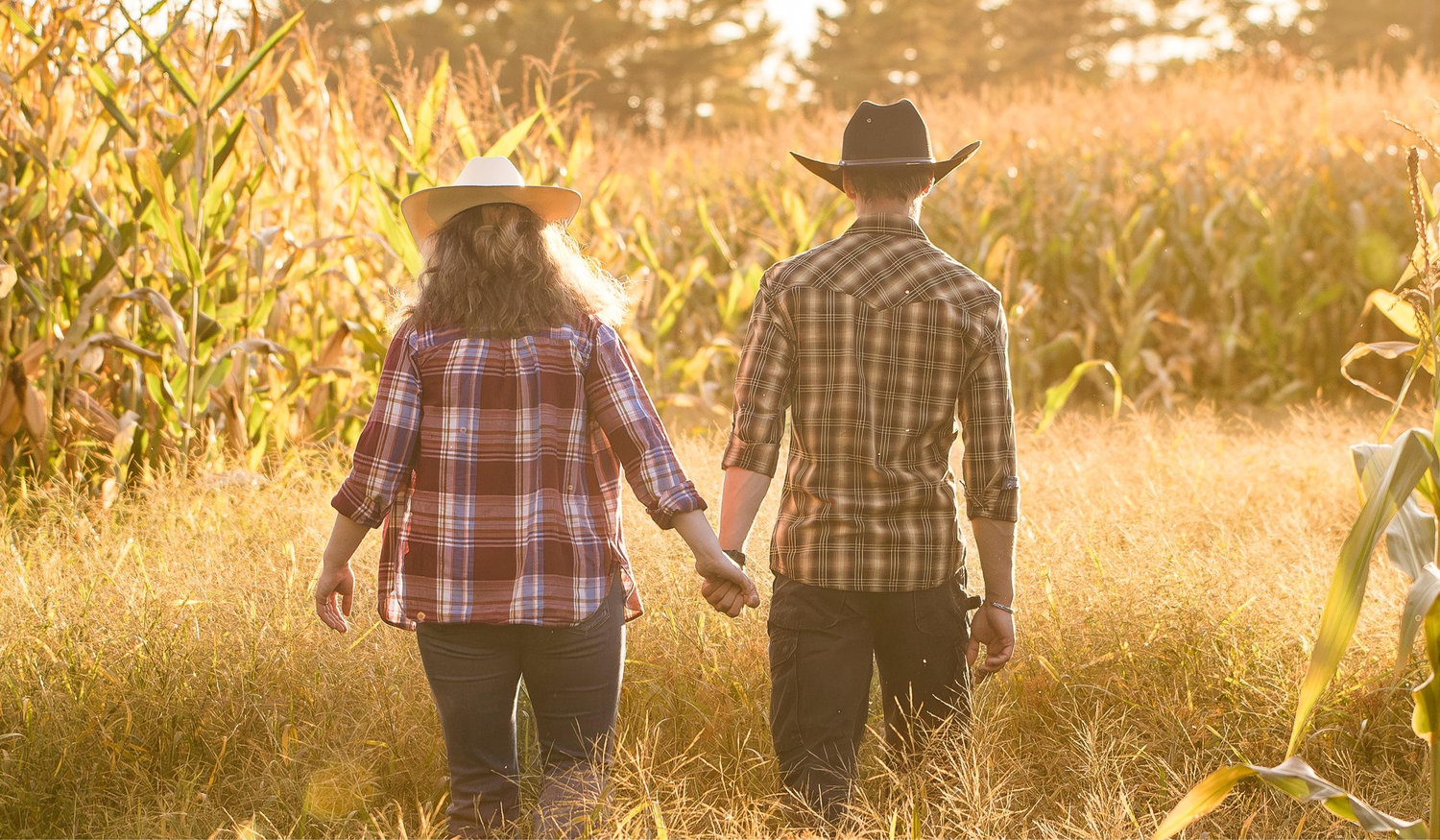 The Wedding Website of Abby Constantine and Mark Gedicks Jr
