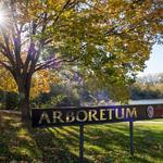 University of Wisconsin–Madison Arboretum