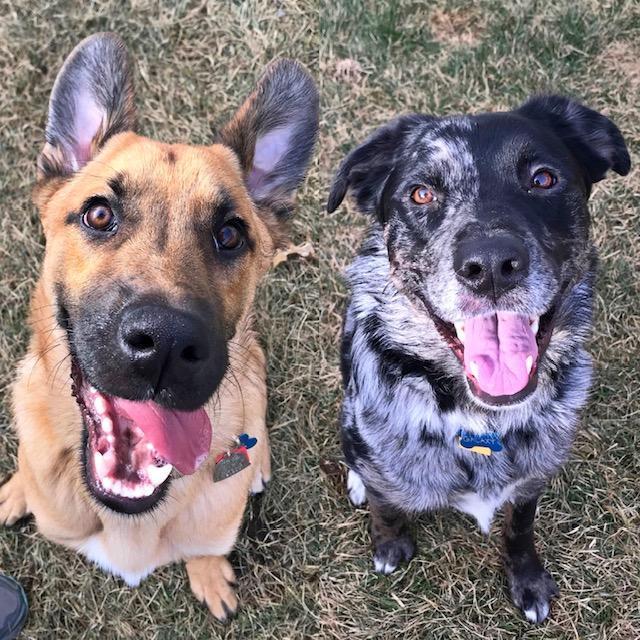 Who could say no to those faces?!