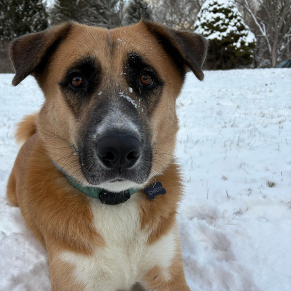 Chico Fund- for any doggie expenses along the way!