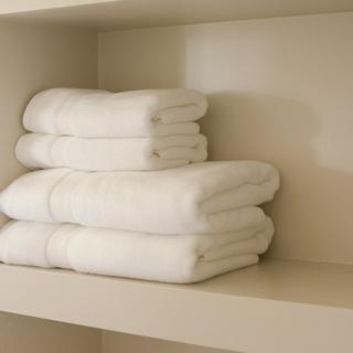 Luxe Hand Towel, Set of 2