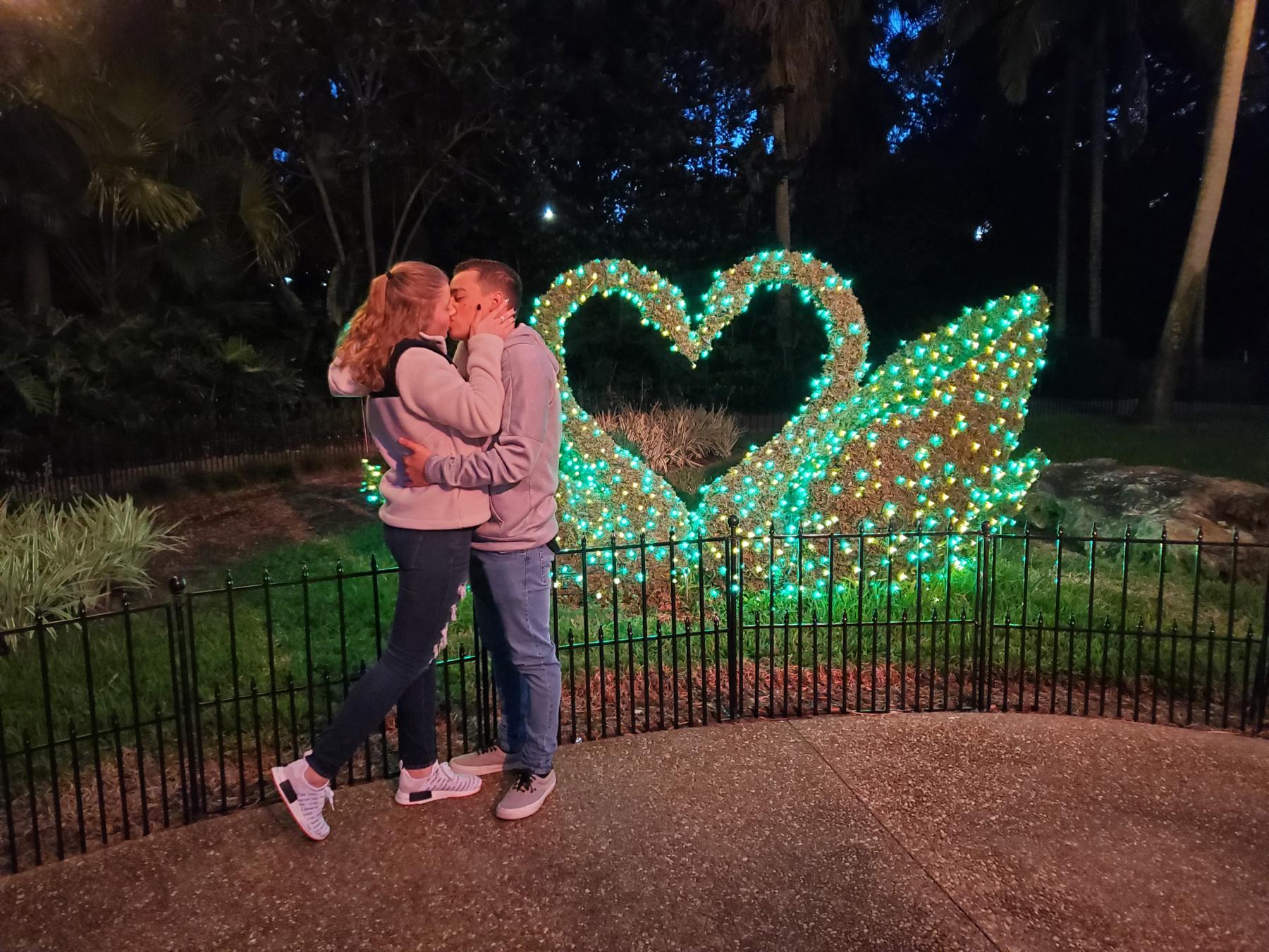 Love birds