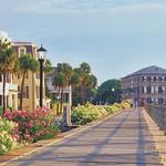 Activities / Excursions / Things to do